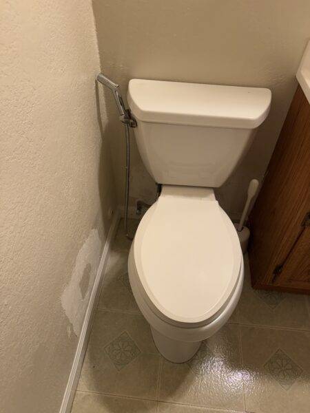 toilet replacement
