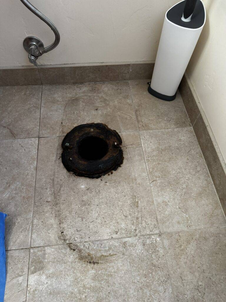 drain cleaning