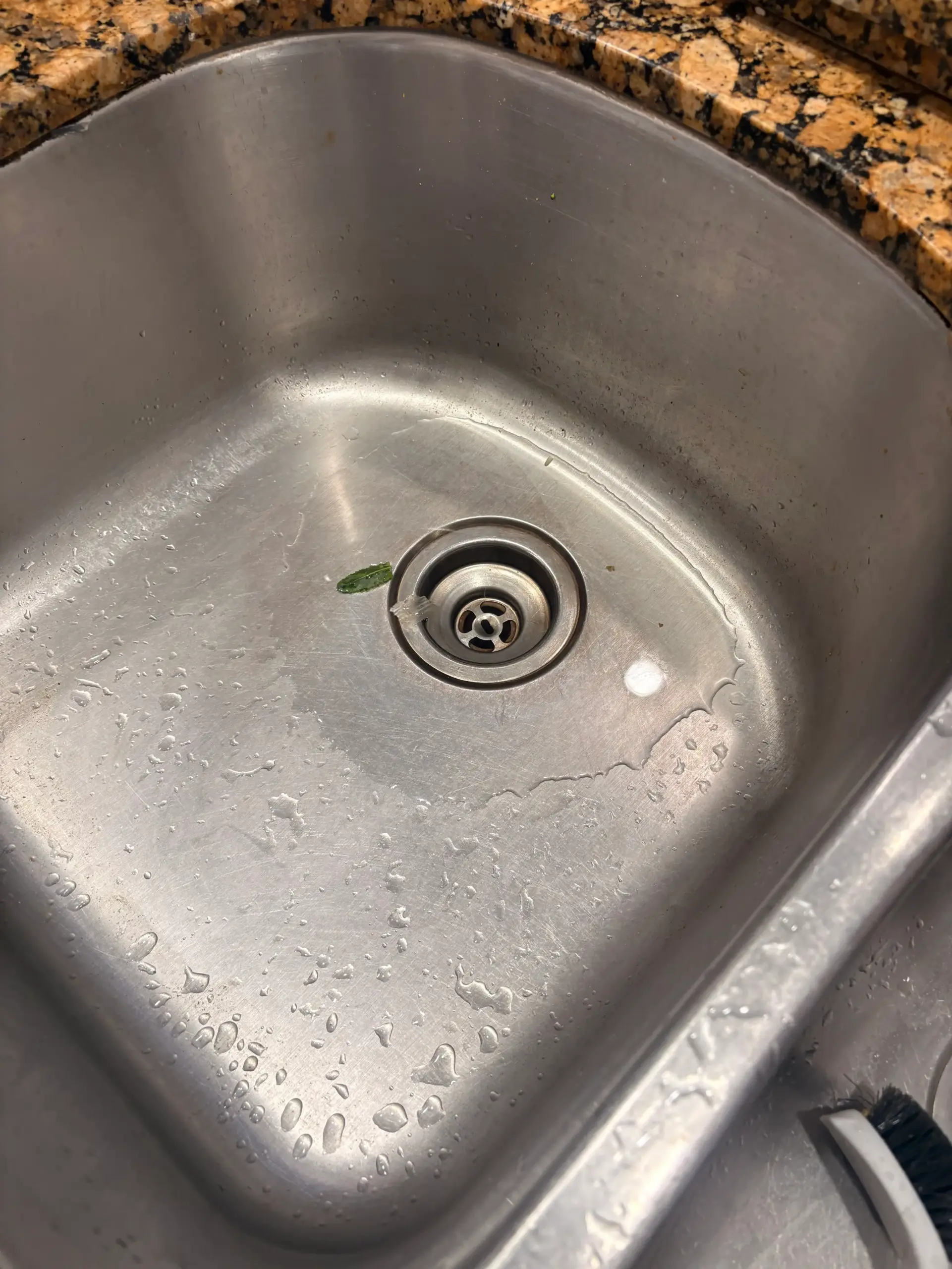Kitchen sink drain cleared during drain cleaning service