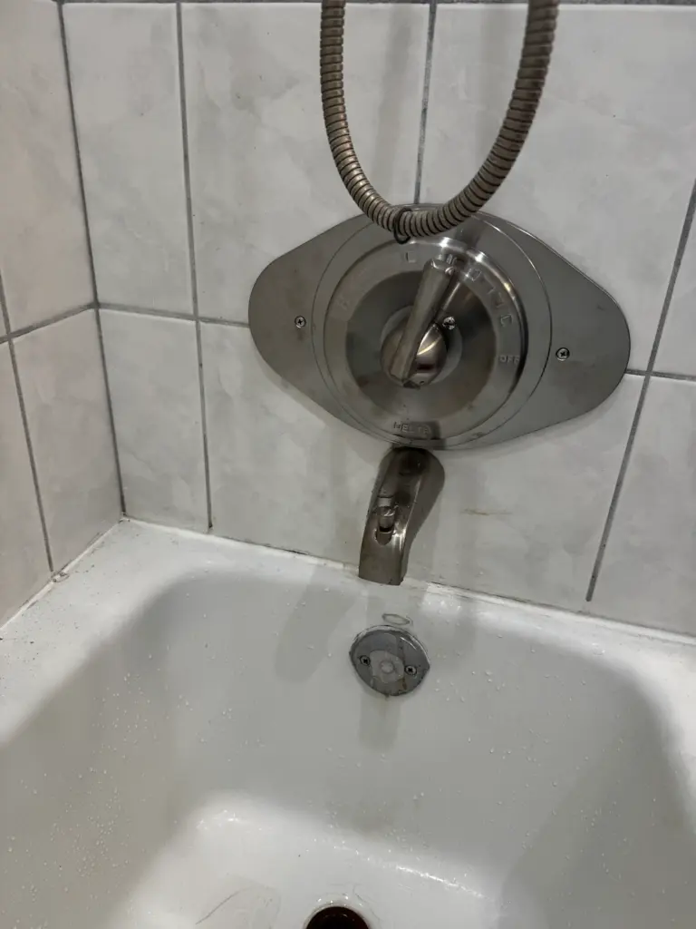 Shower Valve Replacement