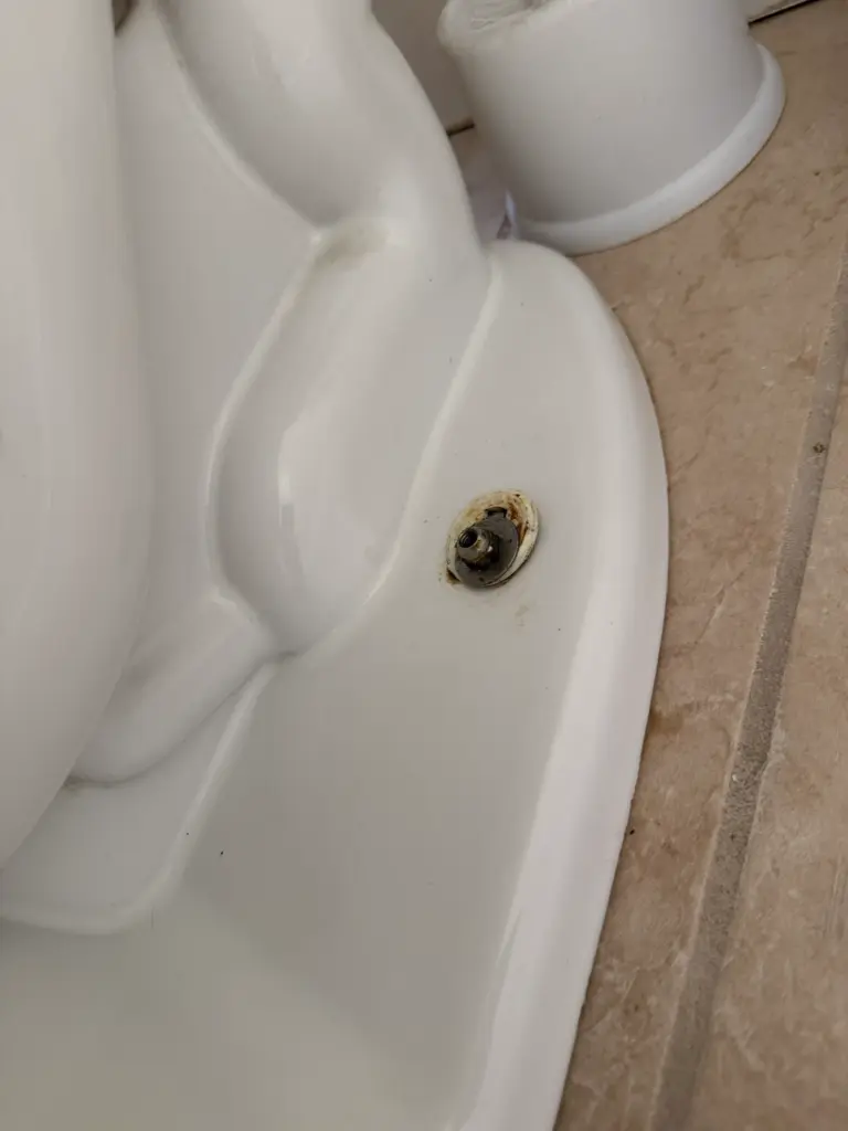 New toilet seat installed on a residential toilet