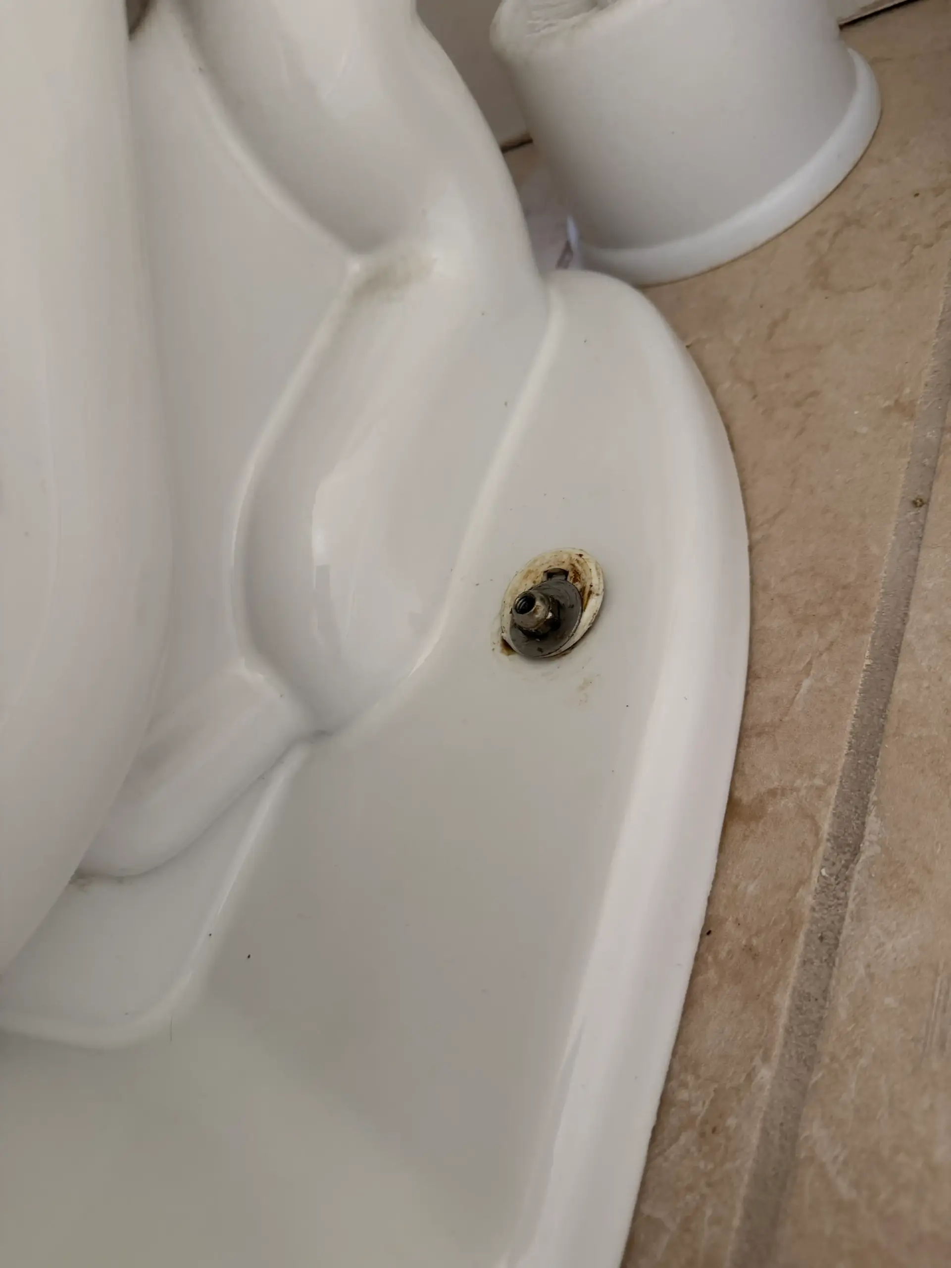 New toilet seat installed on a residential toilet