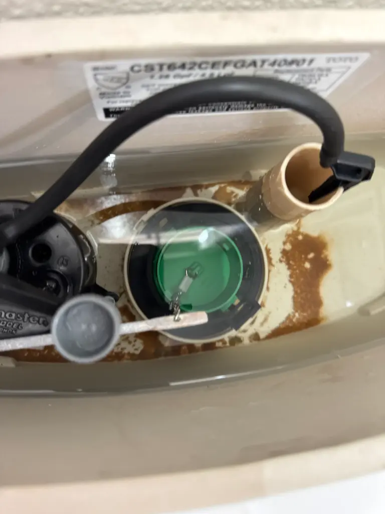 Toilet flapper replaced inside a toilet tank